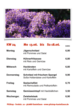Downloadlink - PitStop Kastellaun
