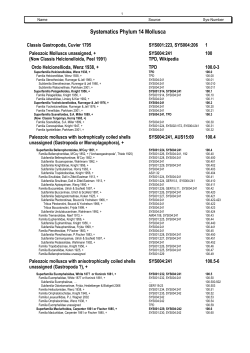 Systematics Phylum 14 Mollusca