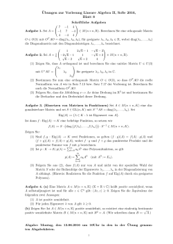 8. Aufgabenblatt zur Vorlesung Lineare Algebra II.