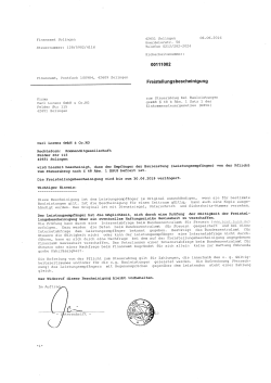 Dokument im PDF