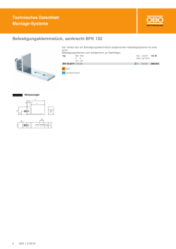 Technisches Datenblatt Montage-Systeme Befestigungsklemmstück