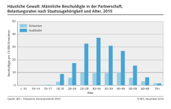 H&auml;usliche Gewalt: M&auml;nnliche Beschuldigte in der Partnerschaft