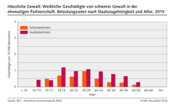 H&auml;usliche Gewalt: Weibliche Gesch&auml;digte von schwerer Gewalt in