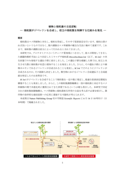 植物と根粒菌の主従逆転 ― 根粒菌がジベレリンを合成し
