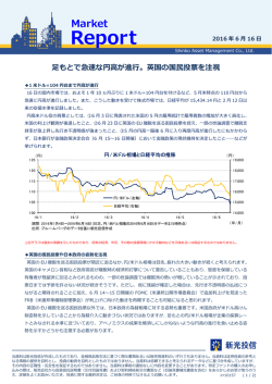 英国の国  投票を注視