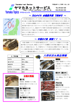 ～ 中国ふぐ食 解禁！！ ～ ～ スルメイカ 水揚量予測 7月まで ～