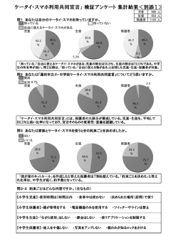 検証結果（PDF：573KB）