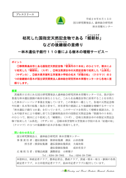 枯死した国指定天然記念物である