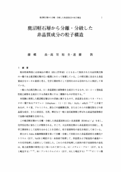 見る/開く
