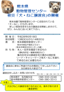 動物管理センター 緊急「犬・ねこ譲渡会」