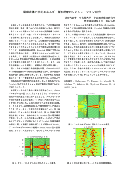 電磁流体力学的エネルギー緩和現象のシミュレーション研究