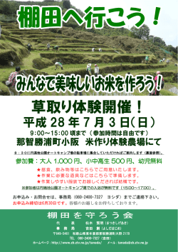 草取り体験開催！