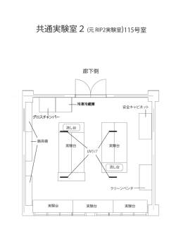 共通実験室2(元 RIP2実験室)115号室