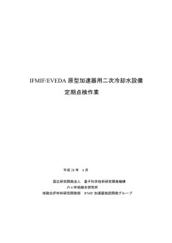 IFMIF/EVEDA 原型加速器用二次冷却水設備 定期点検作業