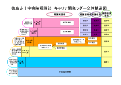 徳島赤十字病院看護部 キャリア開発ラダー全体構造図