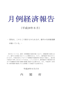 内 閣 府