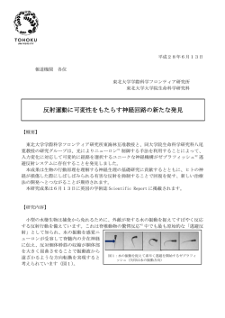 詳細（プレスリリース本文）