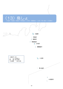 （13）島しょ（PDF：4046KB）