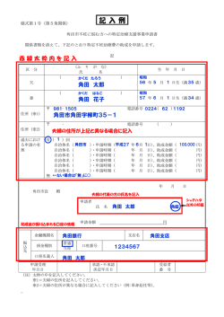 記 入 例