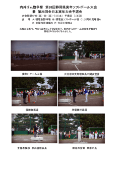 内外ゴム旗争奪 第26回静岡県実年ソフトボール大会 兼 第25回全日本