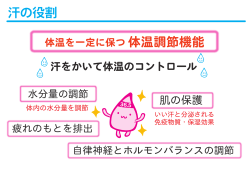 PDFデータ