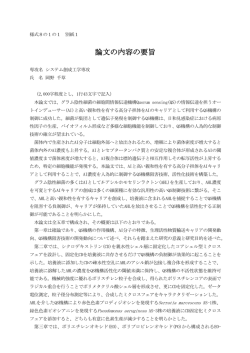 見る/開く
