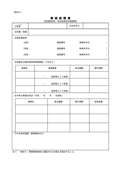 業務経歴書