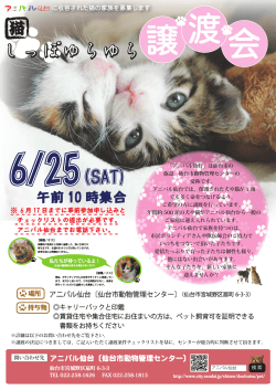 6月25日猫譲渡会ちらし (PDF:5996KB)