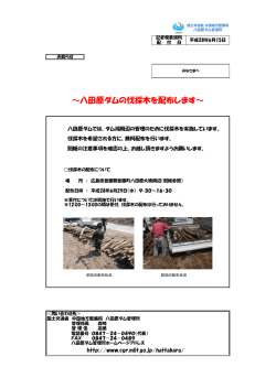 八田原ダムの伐採木を配布します - 中国地方整備局