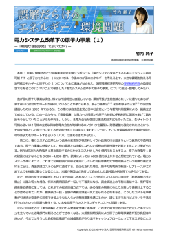 記事全文（PDF） - NPO法人 国際環境経済研究所｜International