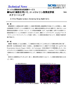 TN464 HepG2細胞を用いたin vitroリン脂質症評価スクリーニング ～In