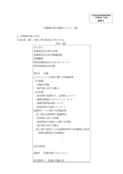 評価報告書の構成について（案）