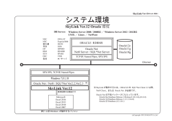 システム環境
