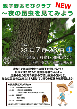 親子野あそびクラブ 夜の昆虫を見てみようのチラシ（PDF 1.5