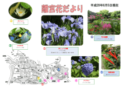 花の庭園 花しょうぶ園 スイレン 観賞温室 コウホネ アジサイ