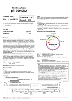 pRI 909 DNA