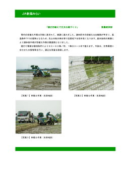 JA新潟みらい