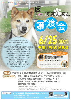 6月25日犬譲渡会ちらし (PDF:5996KB)