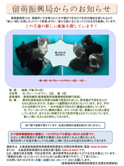 ポスター1 - 北海道留萌振興局