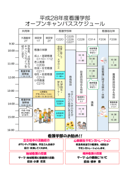 看護学部 詳細プログラム （PDFファイル：203KB）