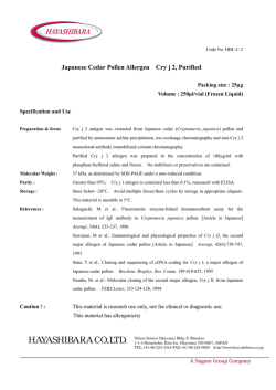 Japanese Cedar Pollen Allergen Cry j 2, Purified