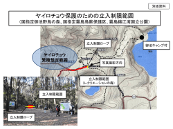 ヤイロチョウ保護のための立入制限範囲