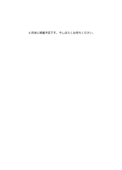 6 月末に掲載予定です。今しばらくお待ちください。