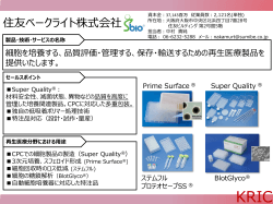 PowerPoint プレゼンテーション