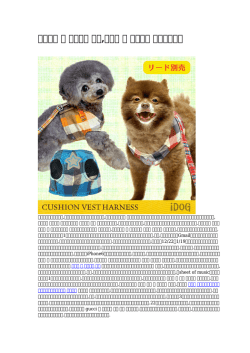 ヴィトン 犬 ハーネス 人気,グッチ 犬 ハーネス 通販公然販売