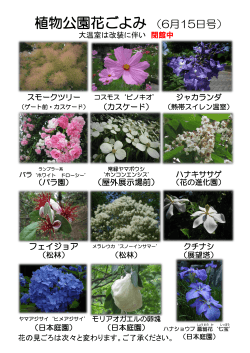 植物公園花ごよみ （6月15日号）