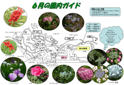 （PDF形式 452.6KB）今月の園内ガイドを
