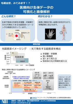 医療向け生体データの可視化と画像解析