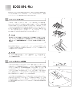 EDGE IIIトレモロ