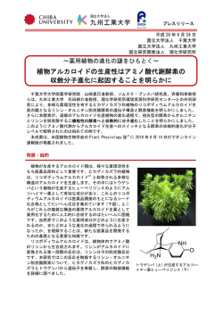 植物アルカロイドの生産性はアミノ酸代謝酵素の 収斂分子